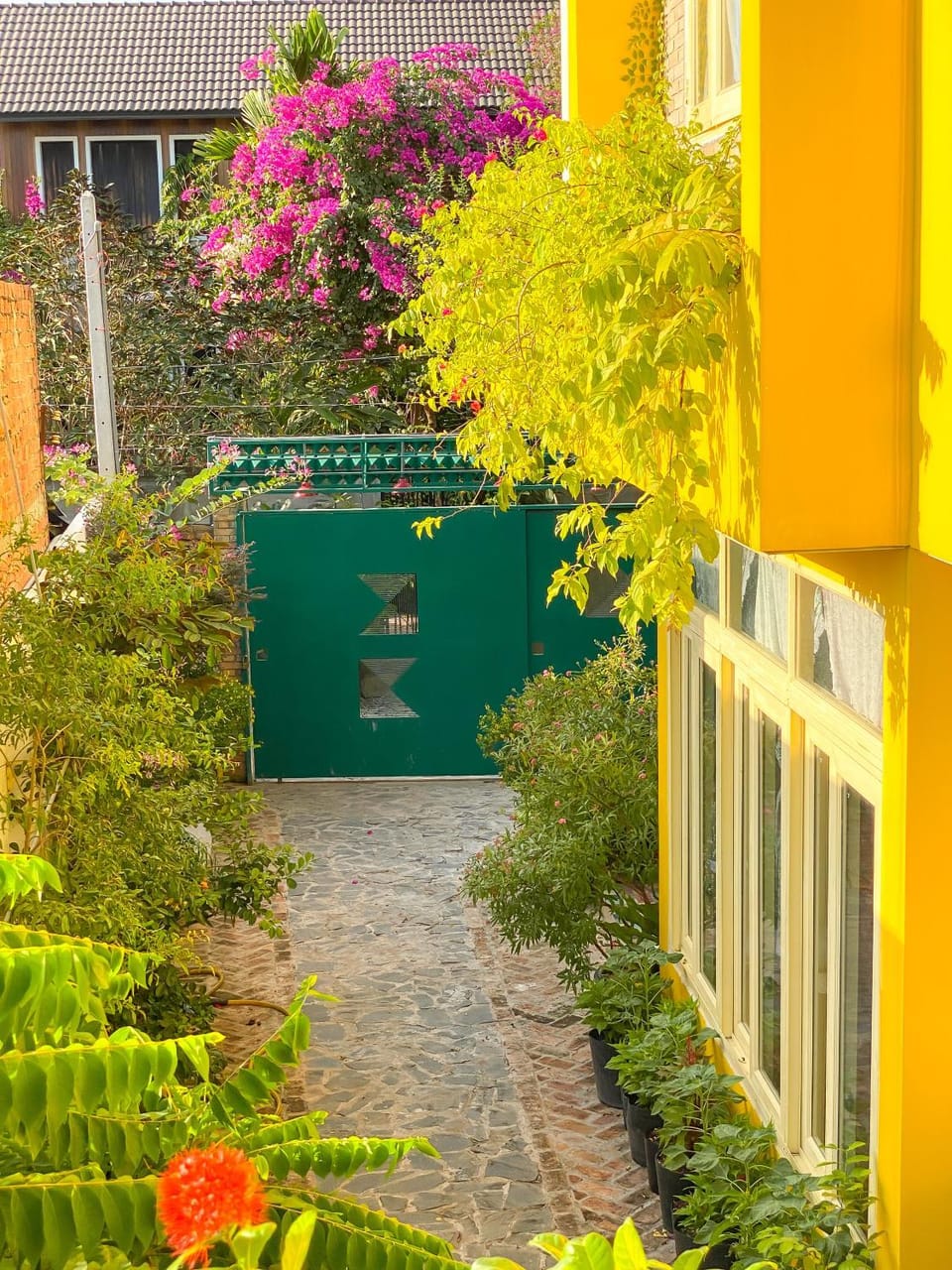 Garden view