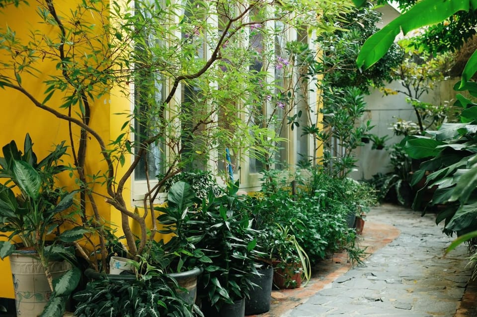 Natural landscape, Garden, Garden view