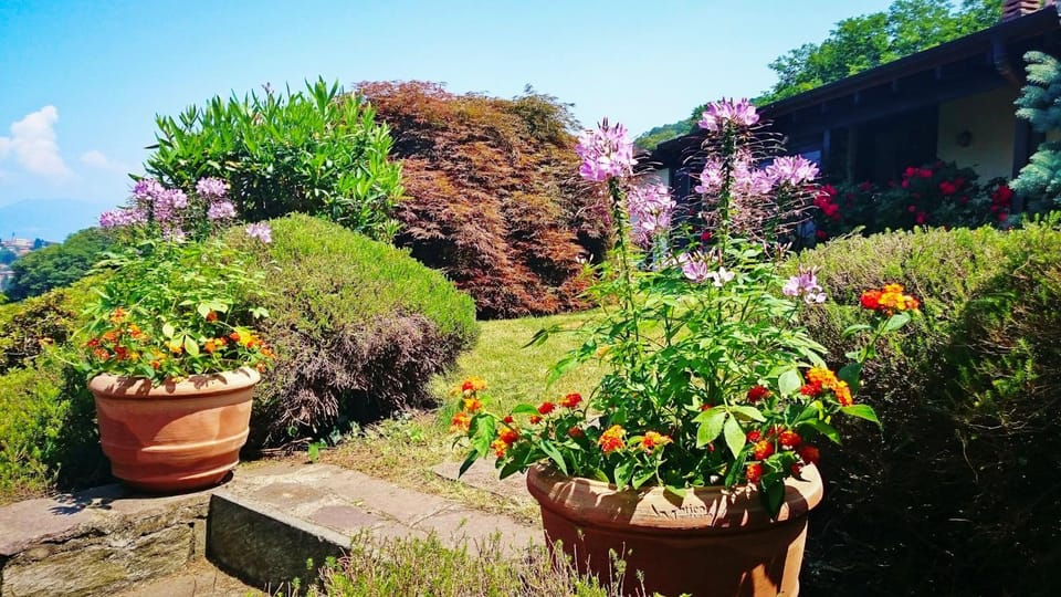 Property building, Garden