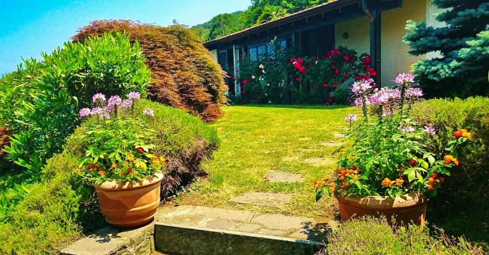 Property building, Garden