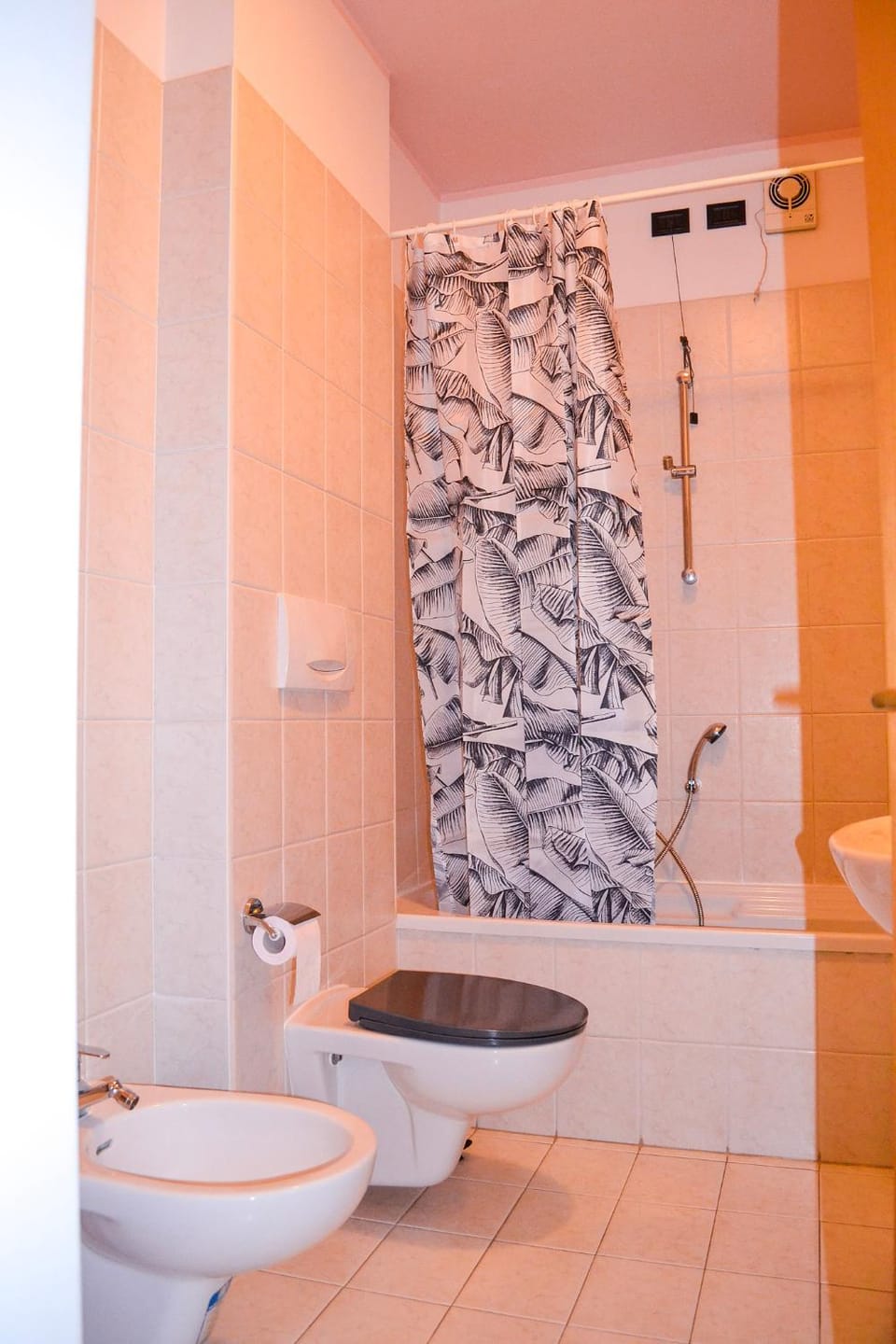 Toilet, Bathroom, bidet