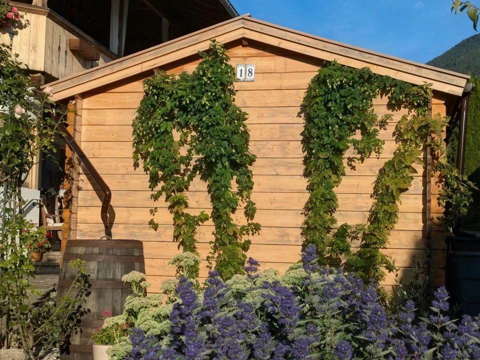 Lieblingsort / Ferienwohnung Apartment in Salzburgerland