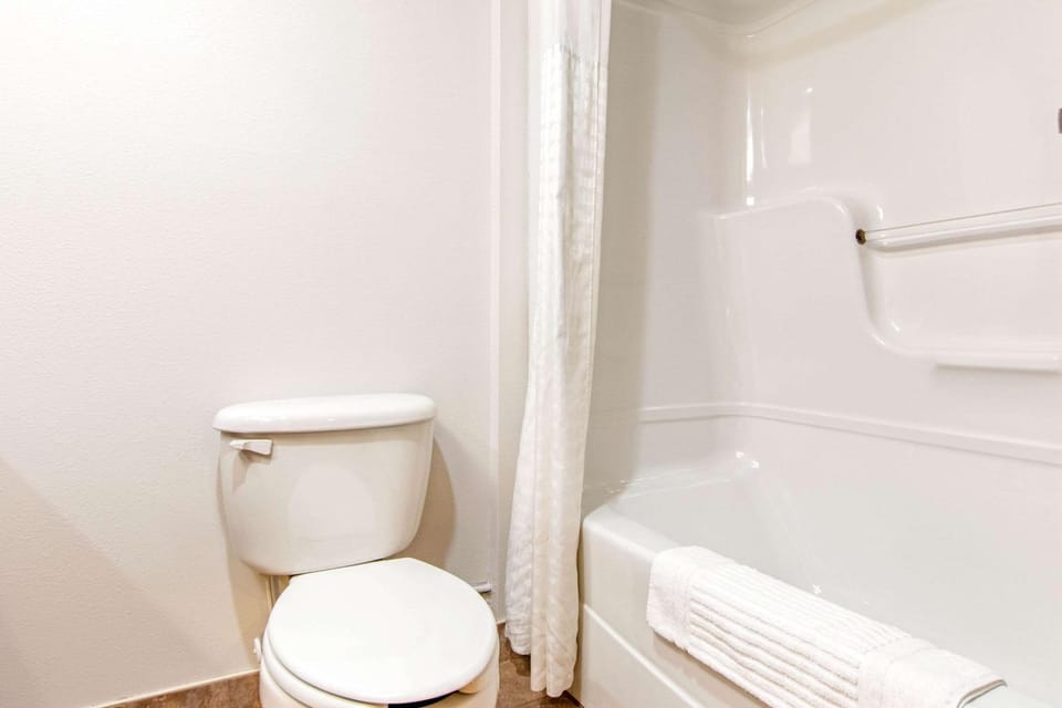 Toilet, Bathroom, Photo of the whole room, On site