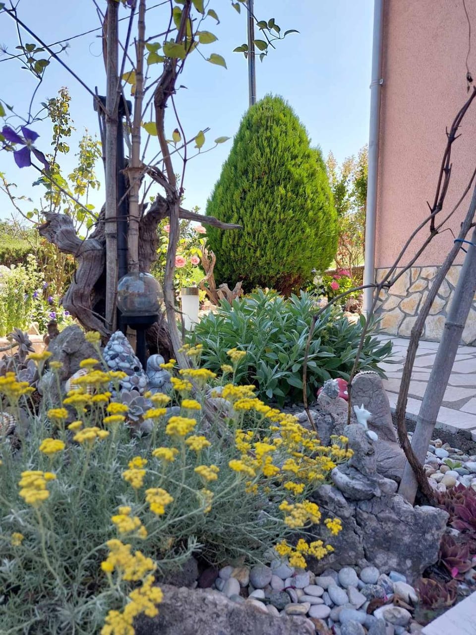 Garden view