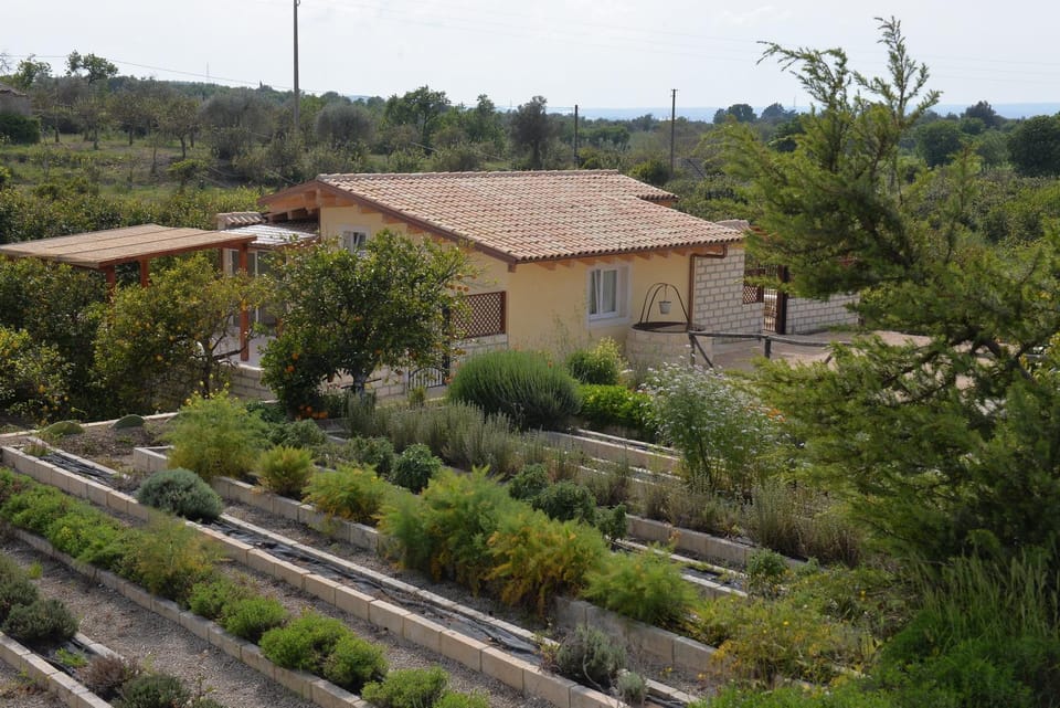 Property building, Garden view