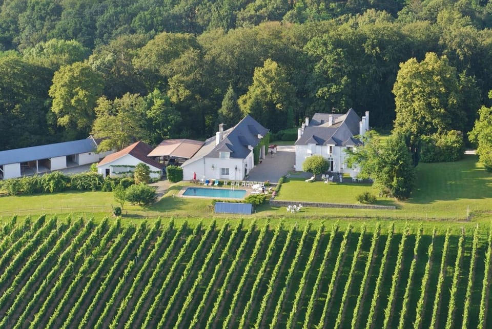 Bird's eye view, Garden view, Mountain view