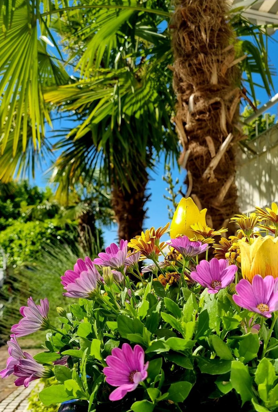 Spring, Garden, Garden view
