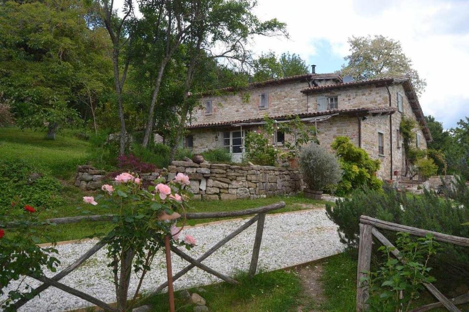 Property building, Garden