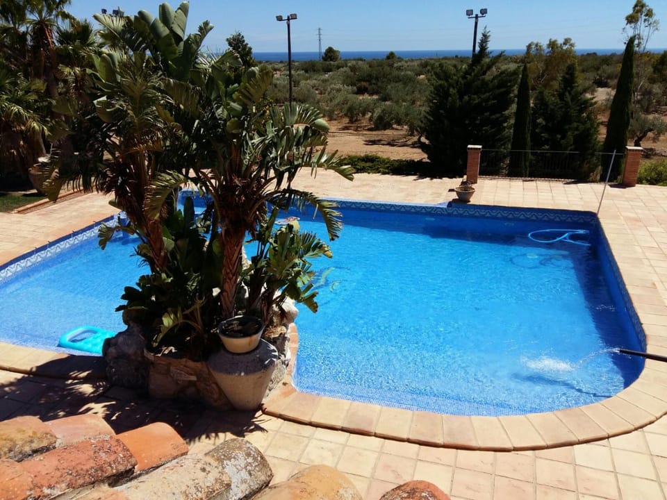 Day, Natural landscape, Pool view, Swimming pool