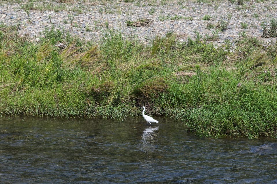 Natural landscape