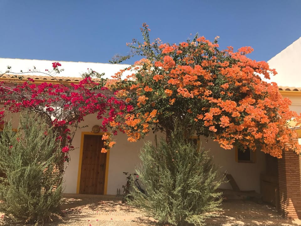 finca las gateras House in Sierra de Cádiz