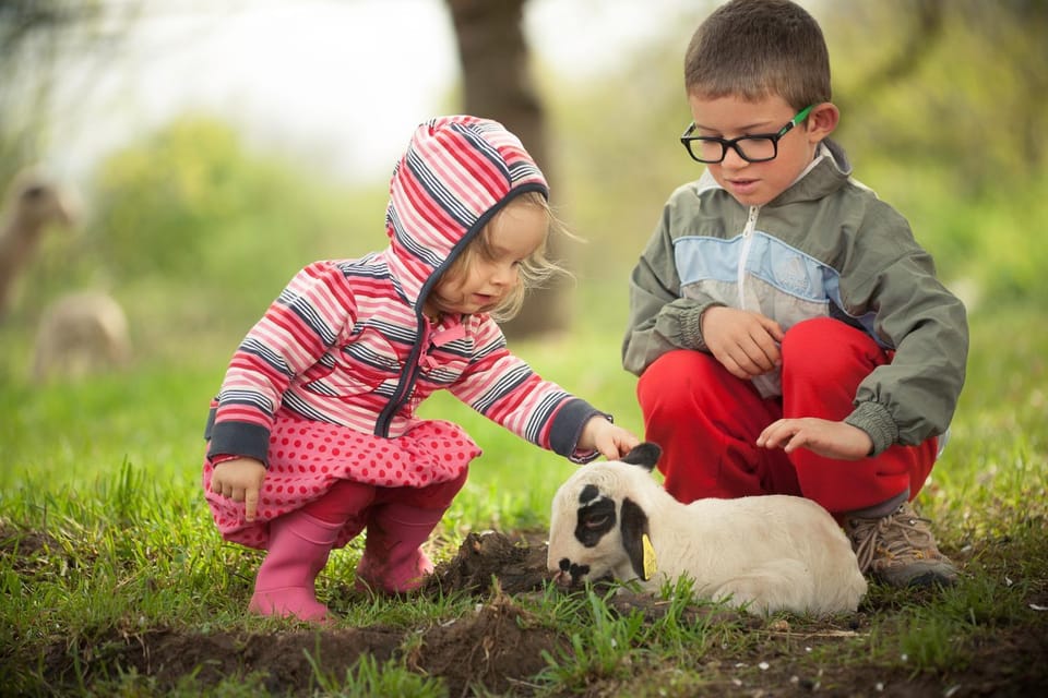 Pets, children