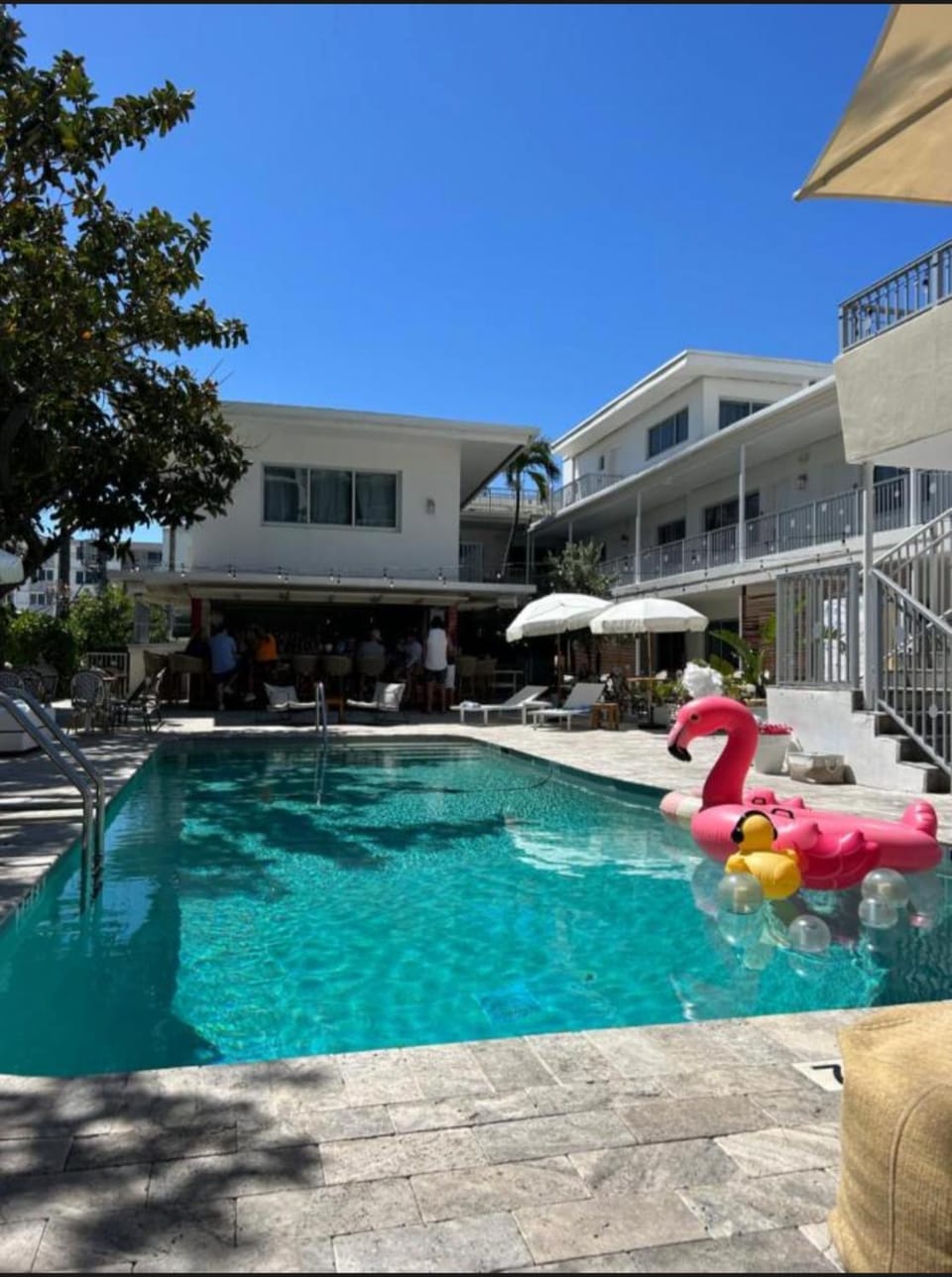 Day, Swimming pool, sunbed