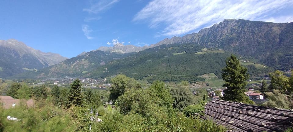 Natural landscape
