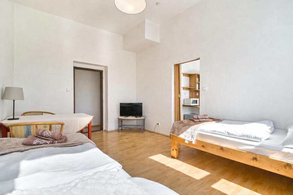 Dusan Apartments Apartment in Czechia