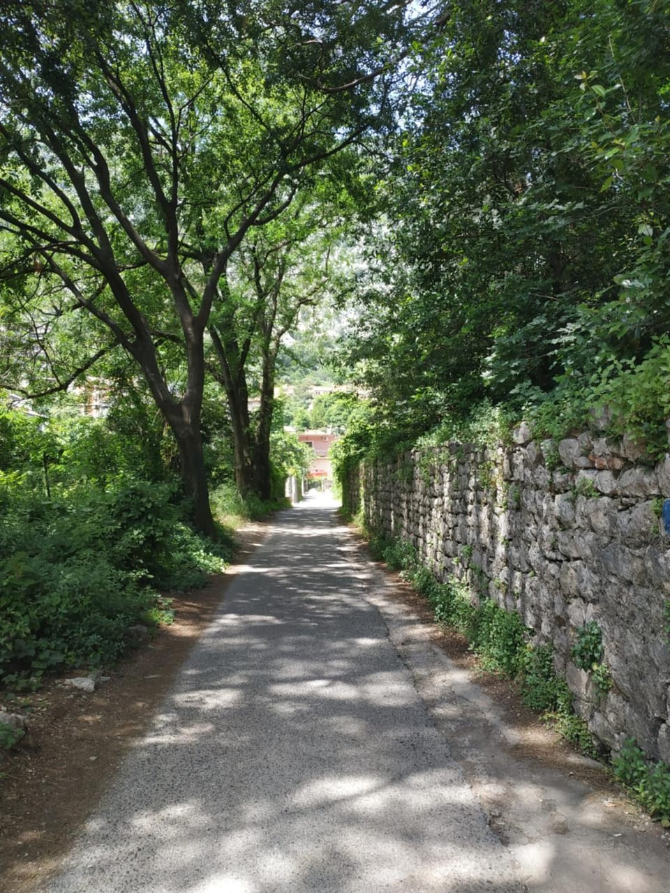 Day, Neighbourhood, Quiet street view