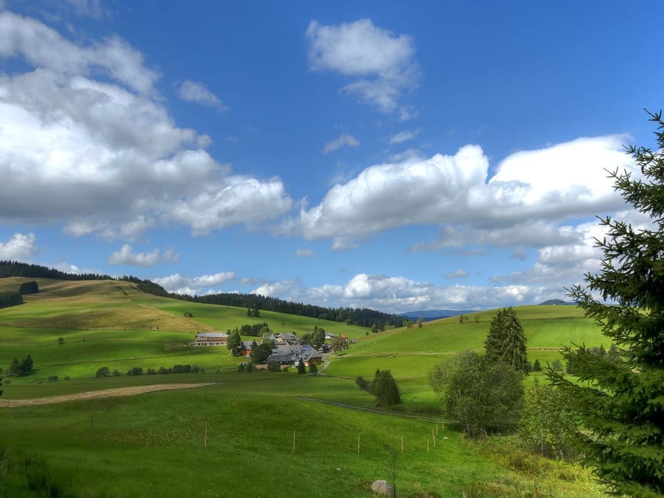 derWaldfrieden naturparkhotel Hotel in Baden-Württemberg