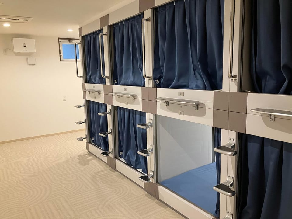Bed, Photo of the whole room, bunk bed