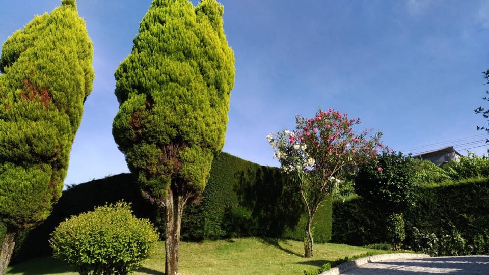 AboimHouse House in Porto District