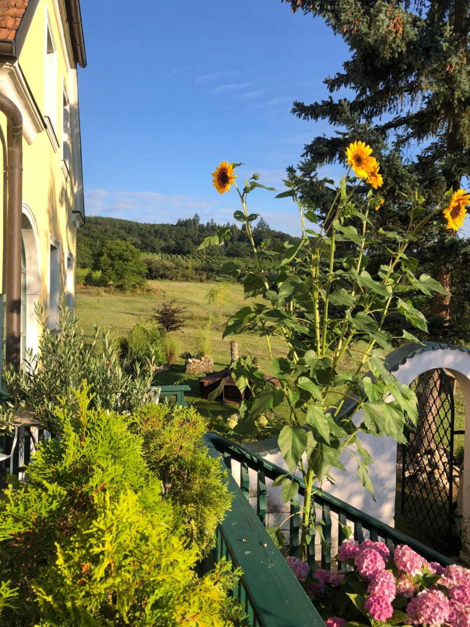 Gästehaus Annemaria Vacation rental in Austria