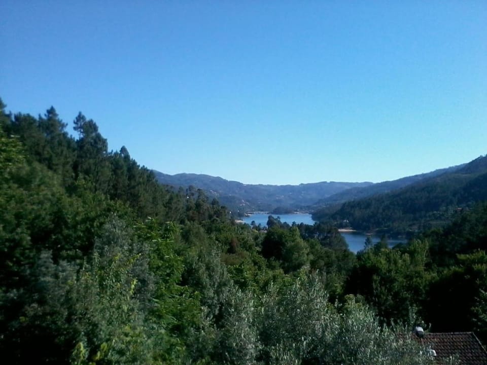 Natural landscape, River view