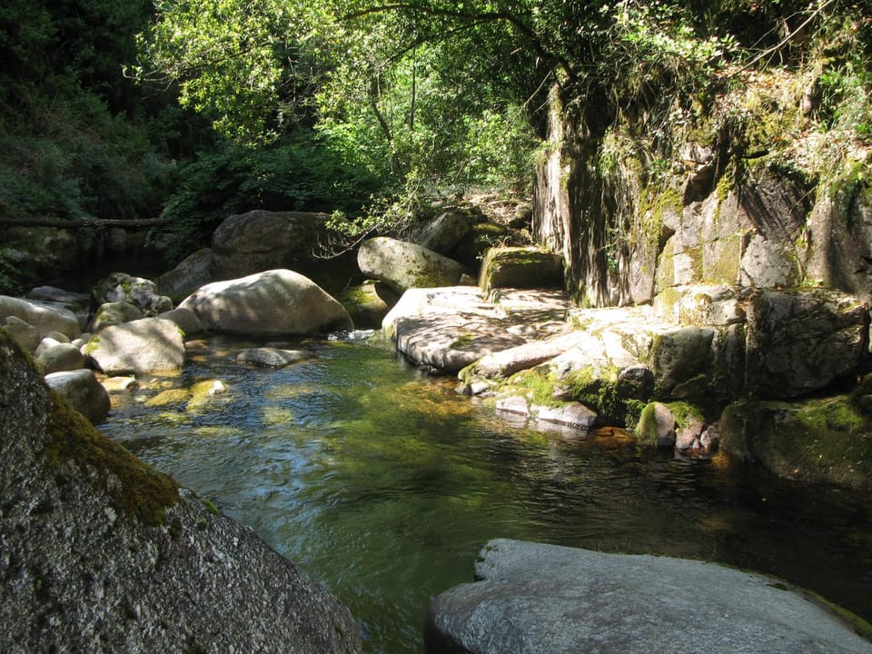 Natural landscape, River view