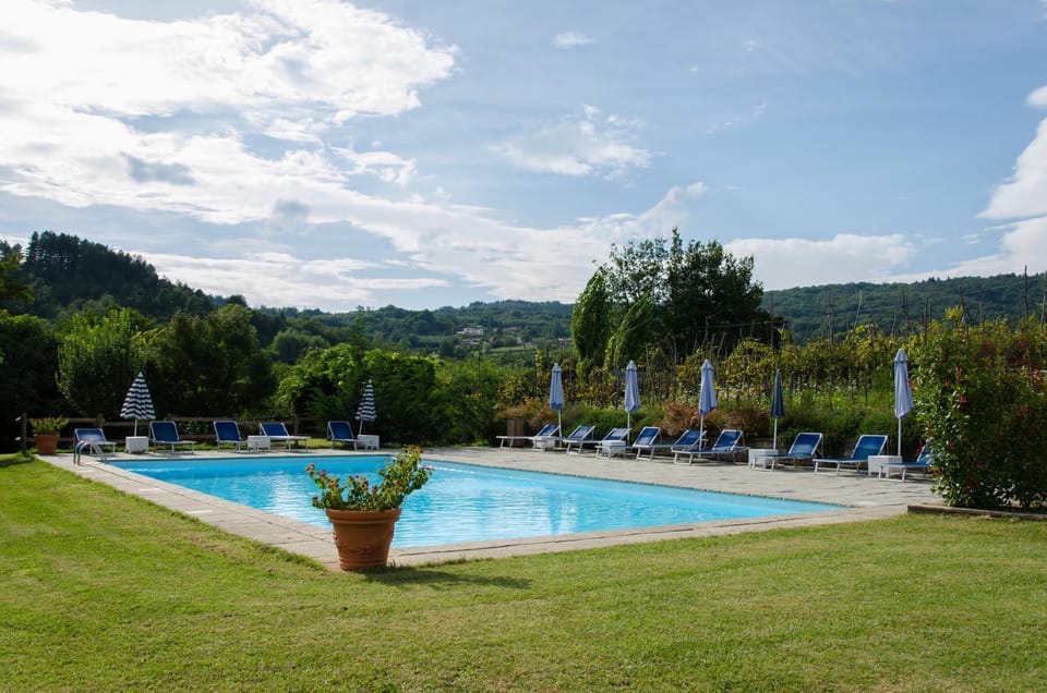 Garden, Swimming pool, Swimming pool