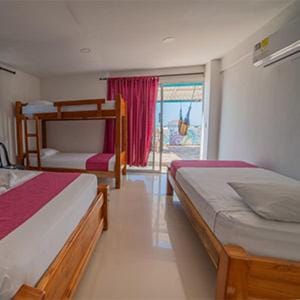Bed, Natural landscape, Photo of the whole room, Bedroom, bunk bed, air conditioner