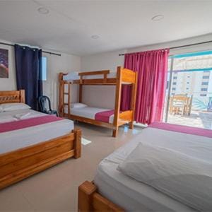 Bed, Photo of the whole room, Bedroom, bunk bed