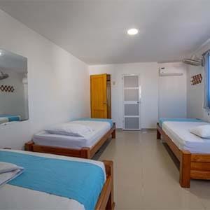 Bed, Photo of the whole room, Bedroom, bunk bed, wardrobe