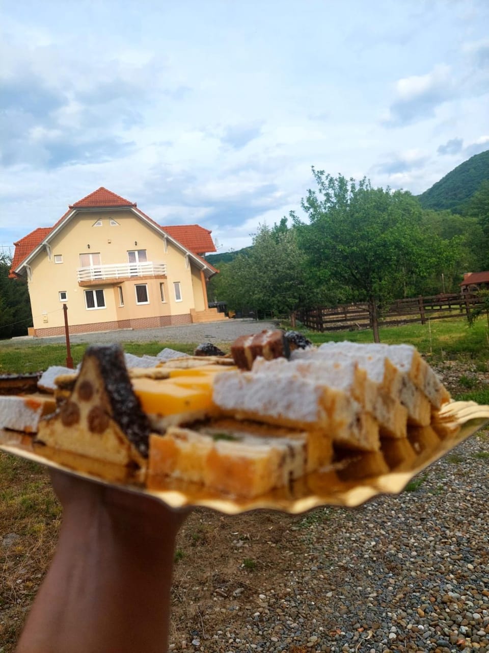 Halasto Pension Bed and Breakfast in Romania