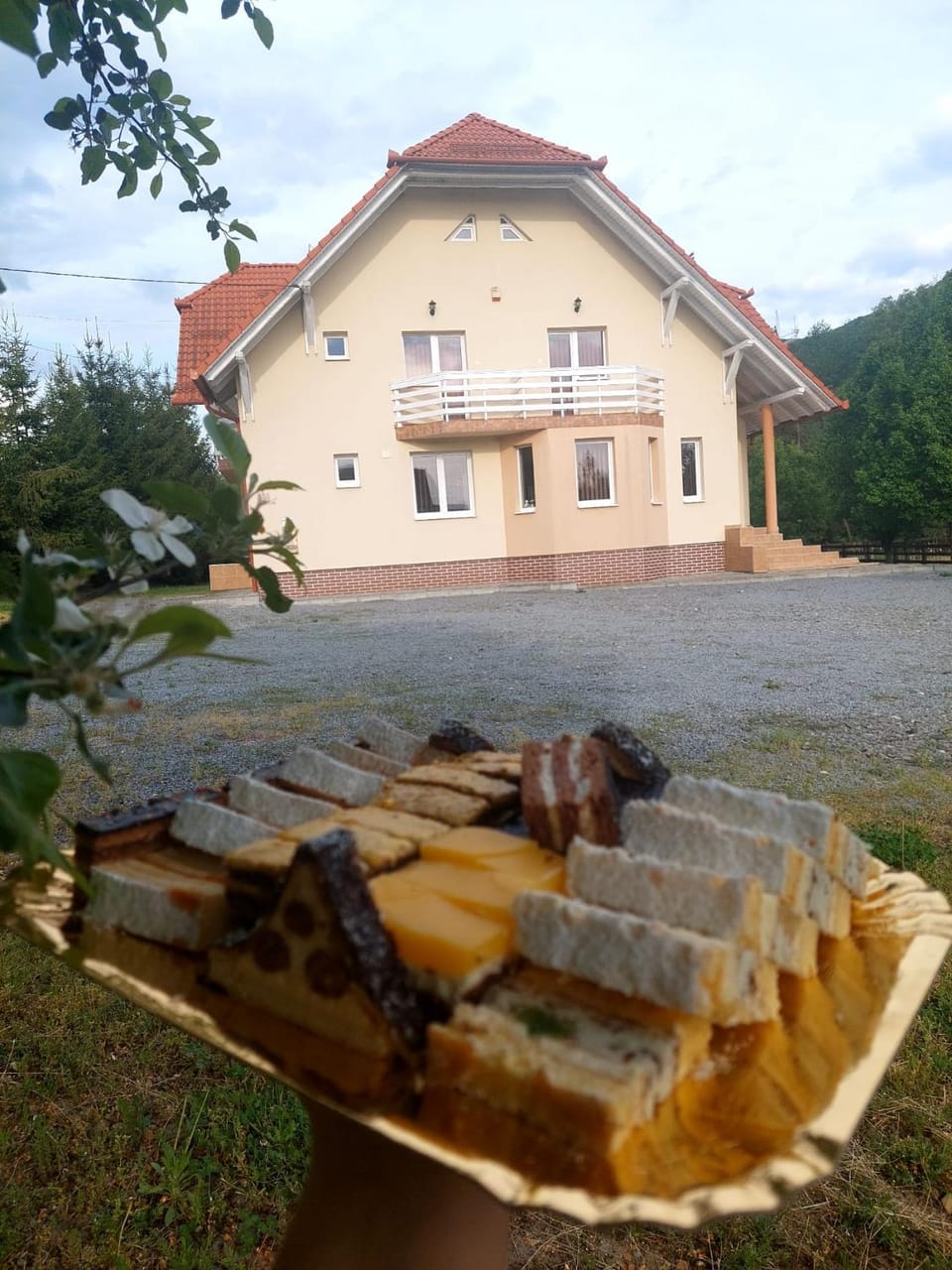 Halasto Pension Bed and Breakfast in Romania