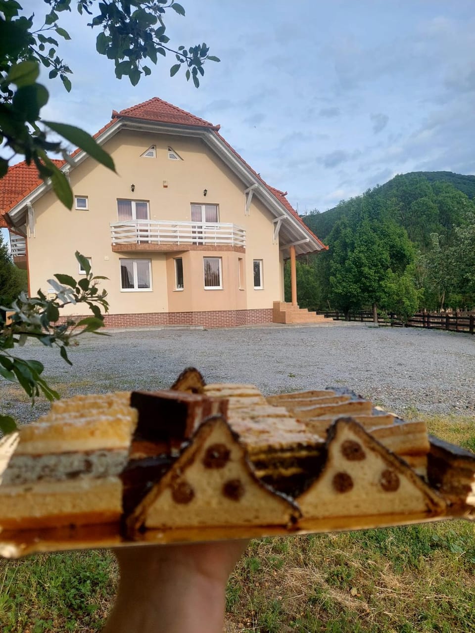 Halasto Pension Bed and Breakfast in Romania