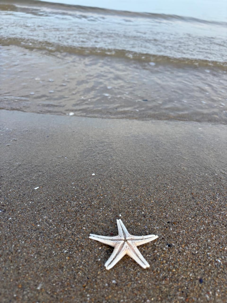 B&B La Palma Bed and Breakfast in Molise, Italy