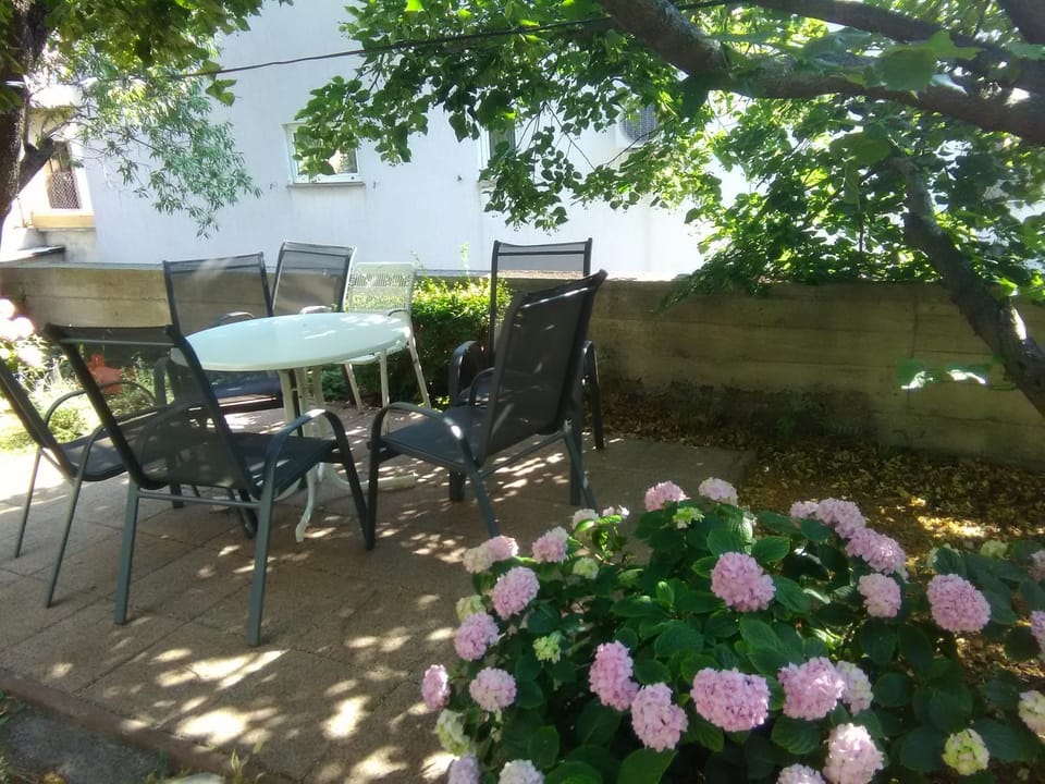 Garden, Seating area, Area and facilities