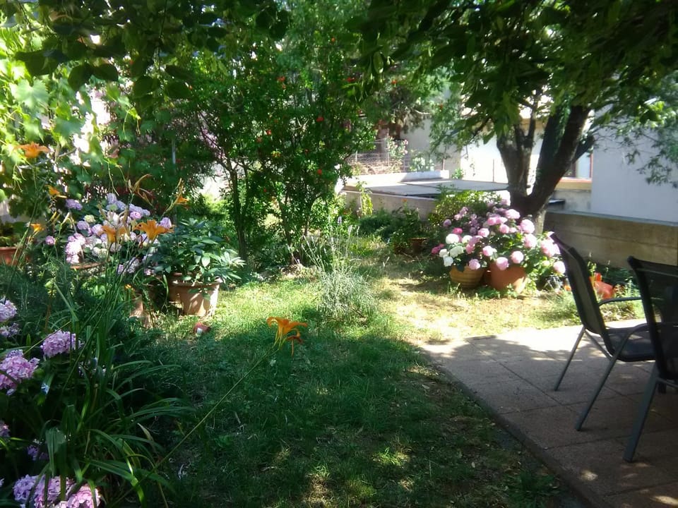 Patio, Garden, Balcony/Terrace, Area and facilities