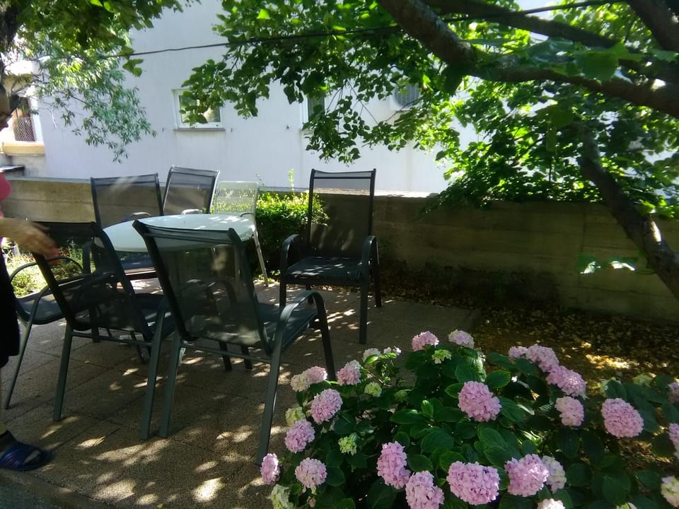 Patio, Garden, Balcony/Terrace, Seating area, Area and facilities
