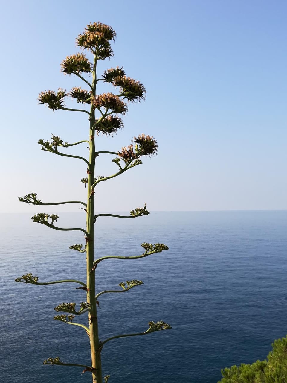 Giovanni Rooms Manarola Bed and Breakfast in Manarola