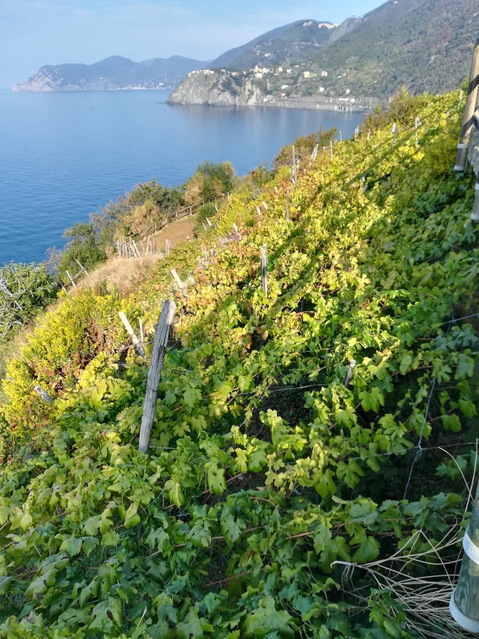 Giovanni Rooms Manarola Bed and Breakfast in Manarola