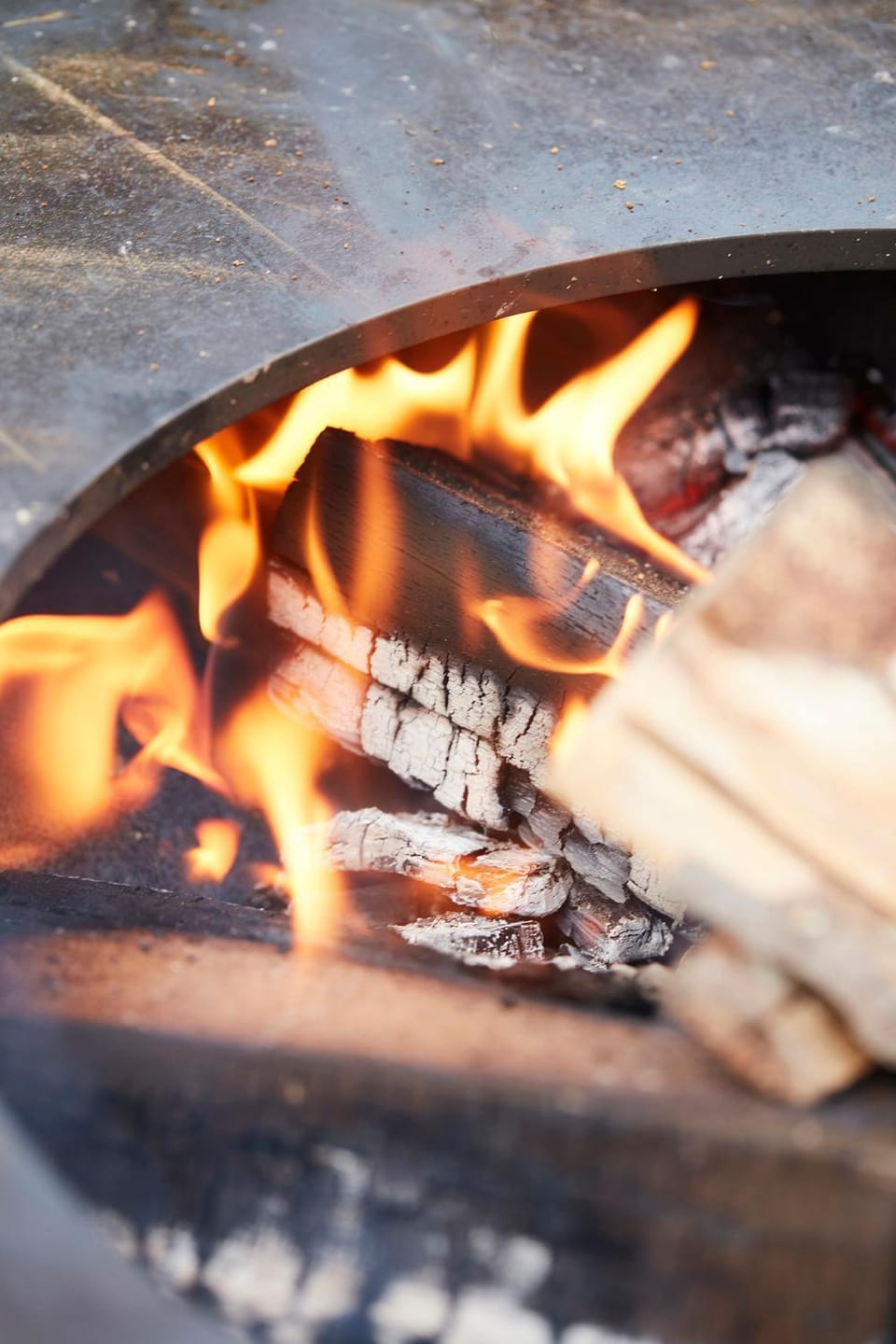 BBQ facilities, Garden, Food and drinks, Food