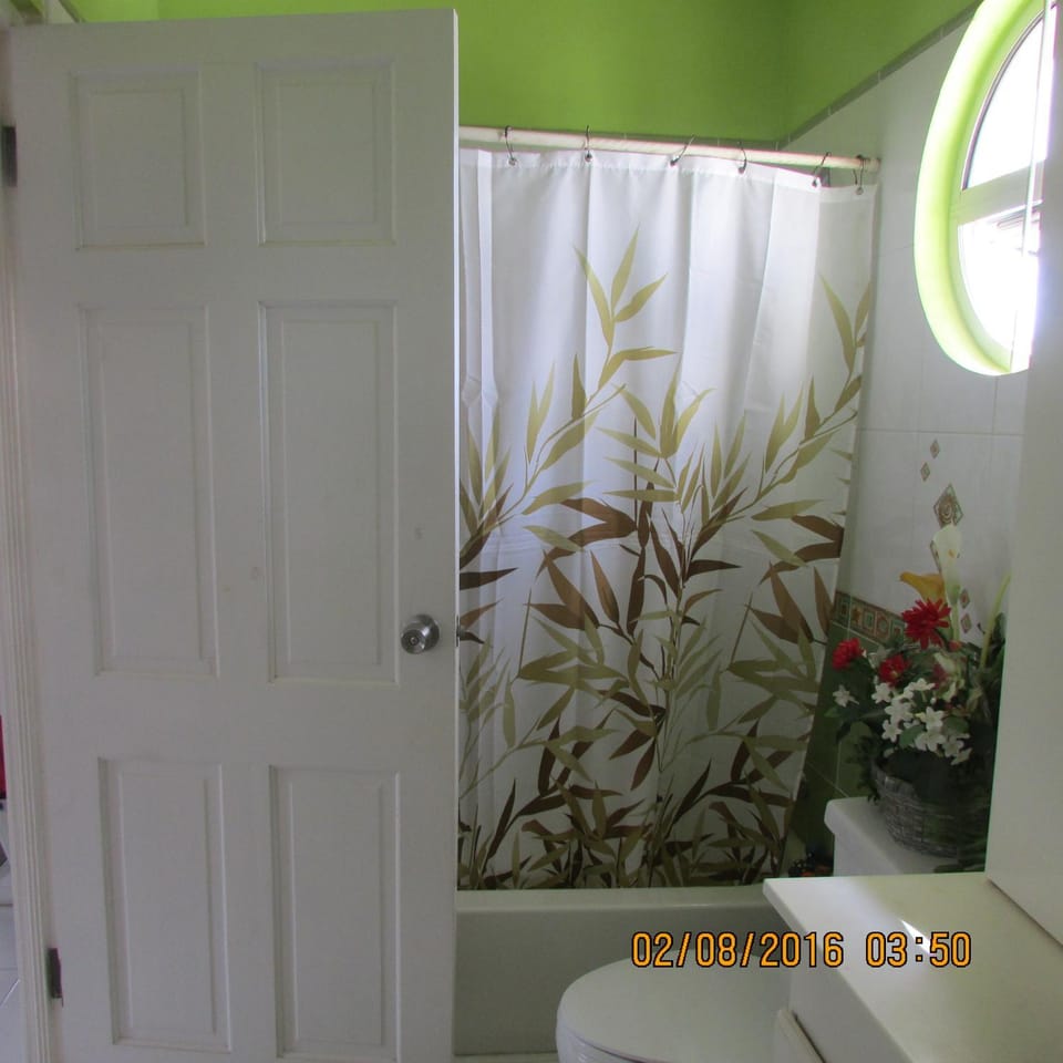 Shower, Toilet, Bathroom, Decorative detail