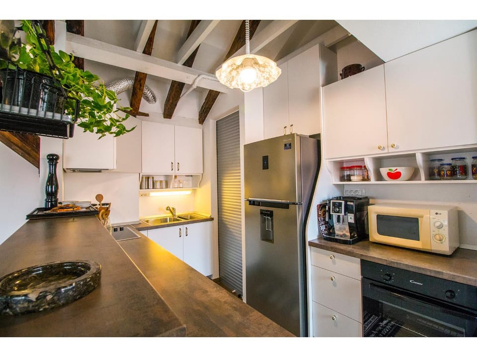 Kitchen or kitchenette, dishwasher, minibar, pet friendly, stove