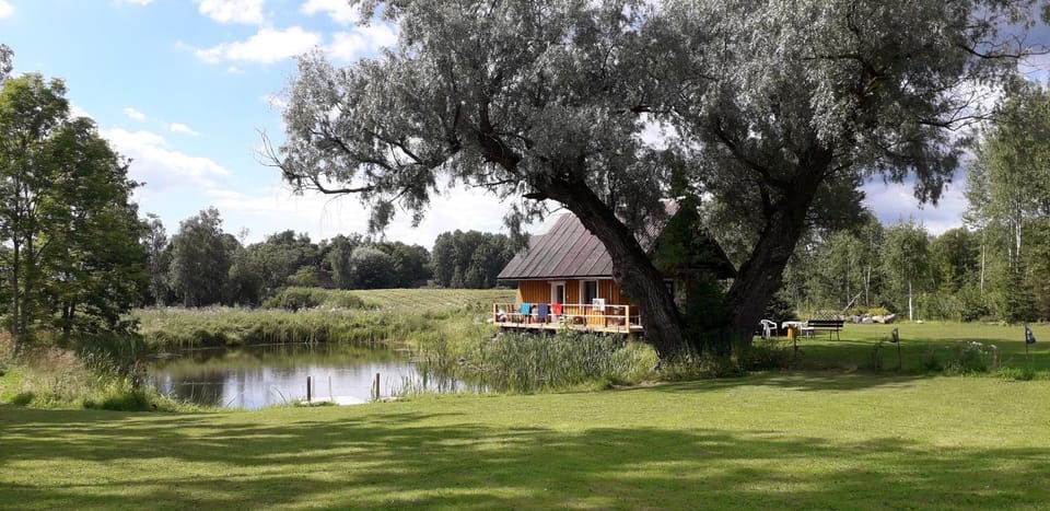 Hommik House House in Estonia