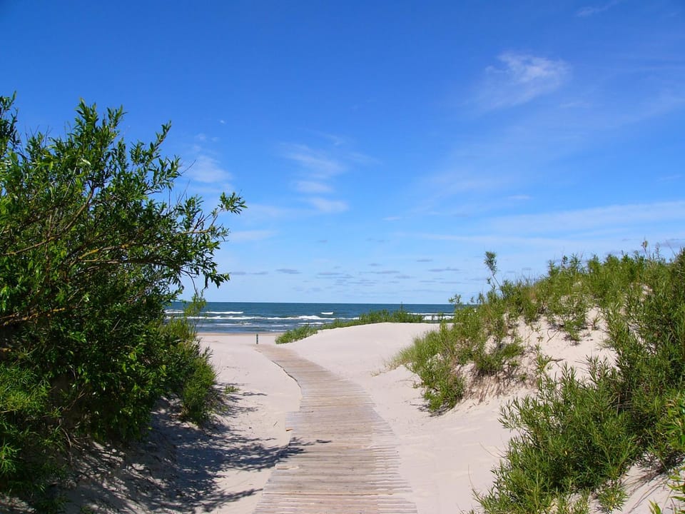 Beach