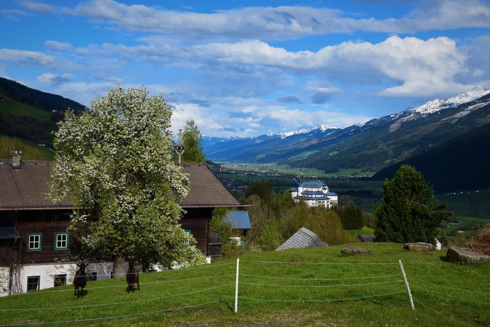 Natural landscape