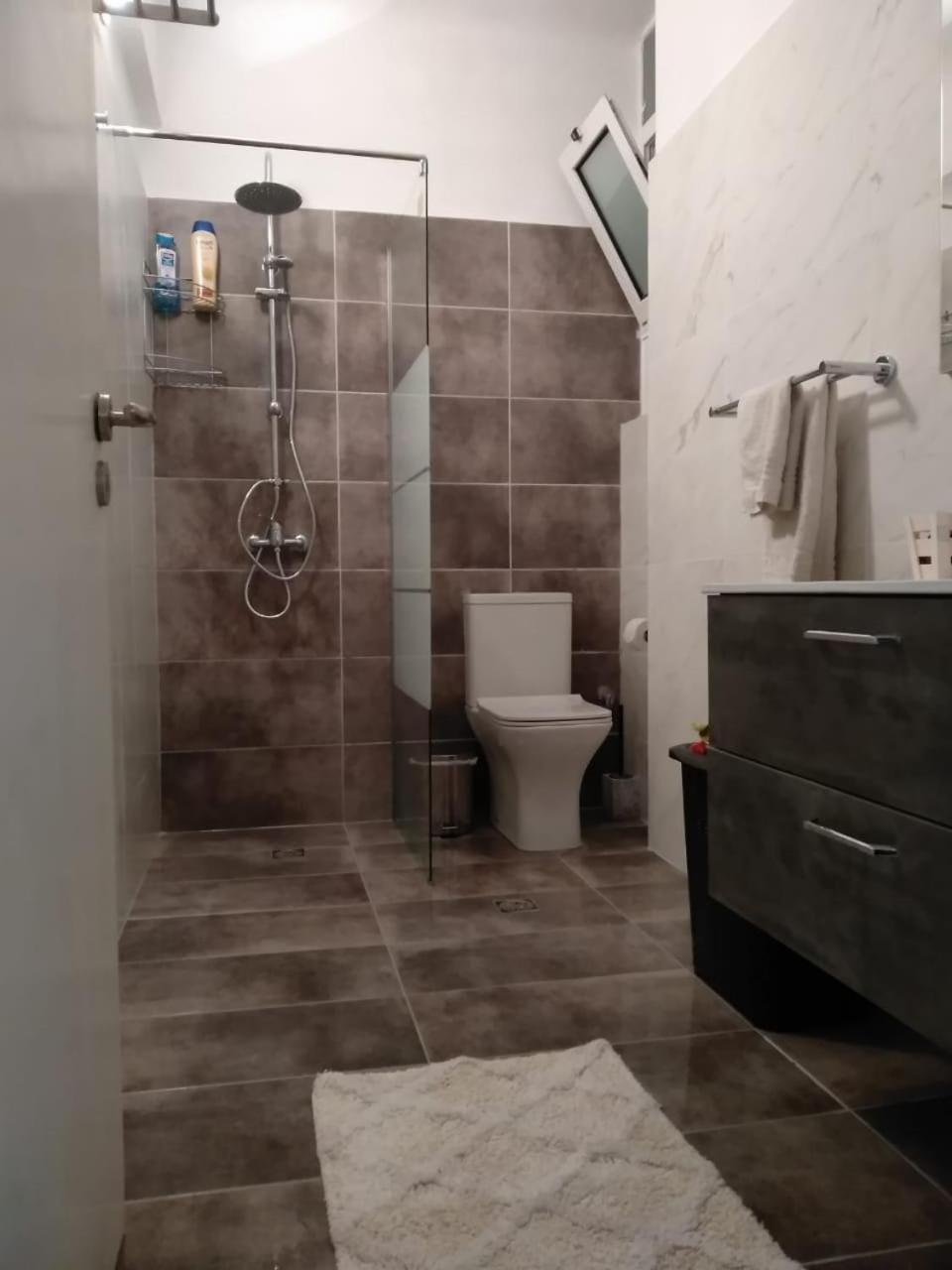 Toilet, Bathroom