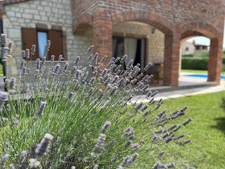 Istrian Villa Melany Villa in Vodnjan