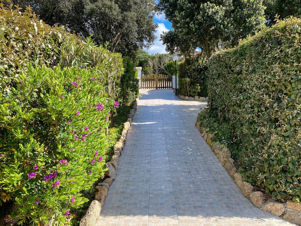 Facade/entrance, Garden