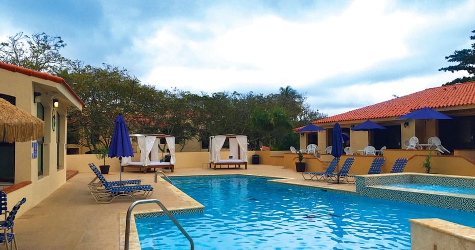 Day, Pool view, Swimming pool, sunbed