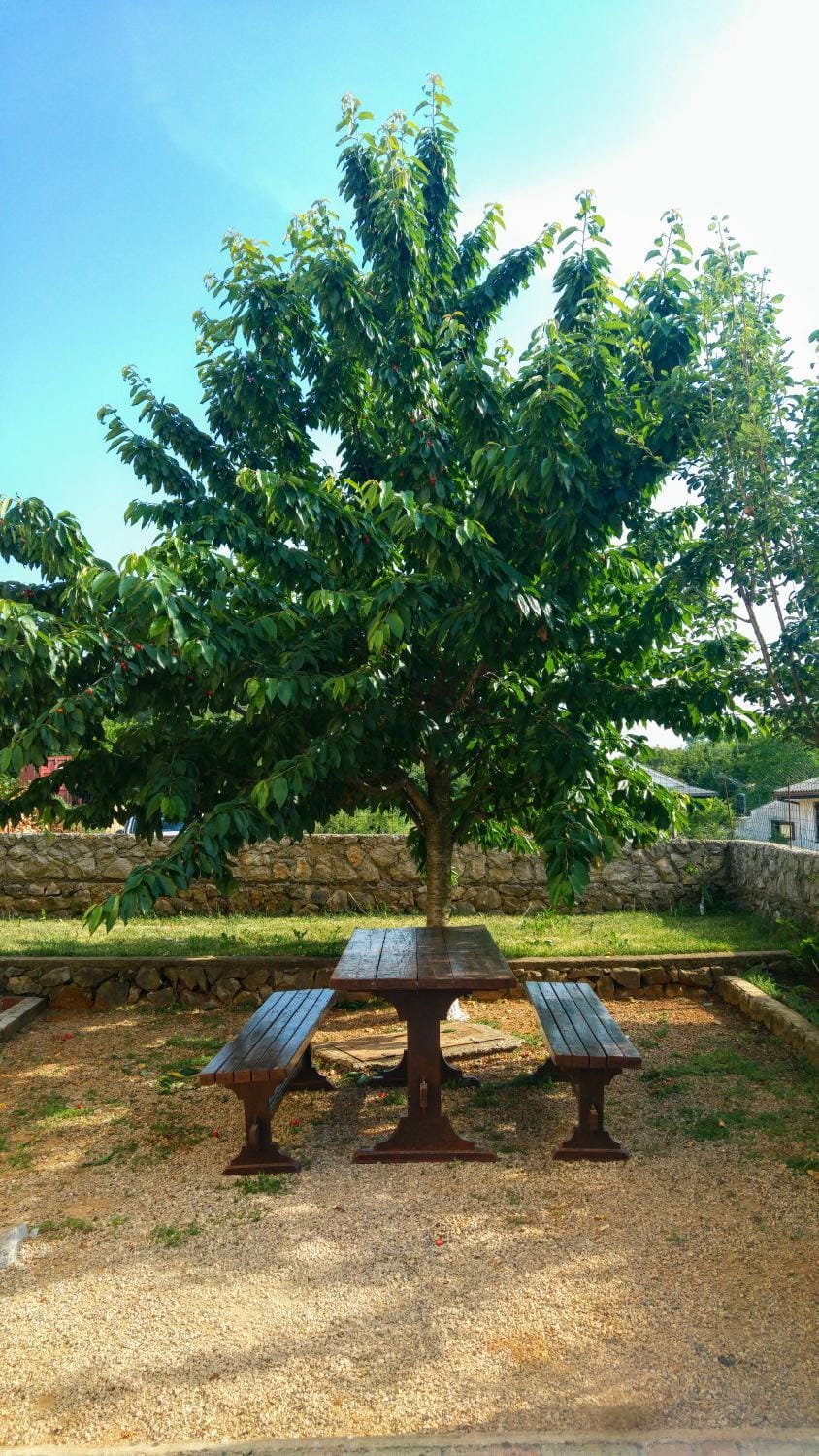 Natural landscape, On site